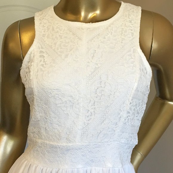 FRANCESCA'S Lace and Chiffon Skater Dress - Picture 3 of 10